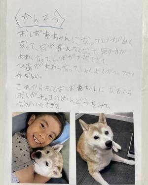 息子が愛犬について調べた自由研究　最後の言葉に「泣いてしまった」