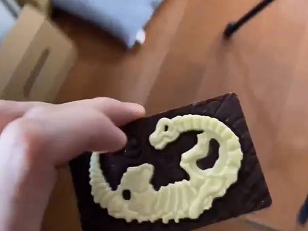 チョコレートから『化石』を発掘　方法に「めっちゃせこくて笑った」の声