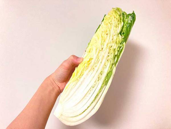 キャベツではなく、白菜で作るコールスロー！？　JA全農のレシピを紹介