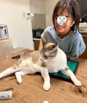 ボードゲームで遊ぶ子供　楽しんでいると、突如やり直しせざるを得なくなり…！？