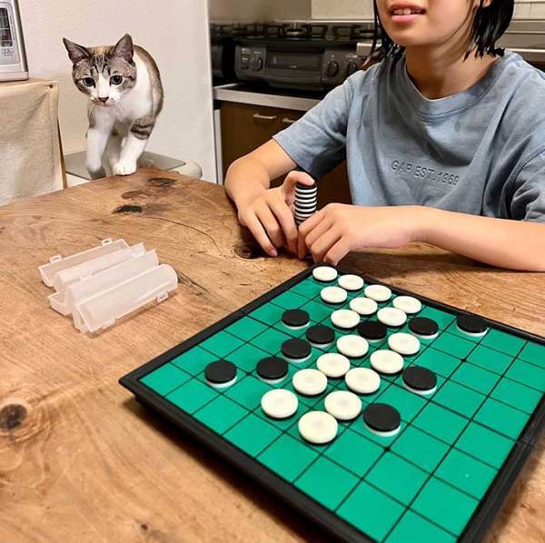 ボードゲームで遊ぶ子供　楽しんでいると、突如やり直しせざるを得なくなり…！？