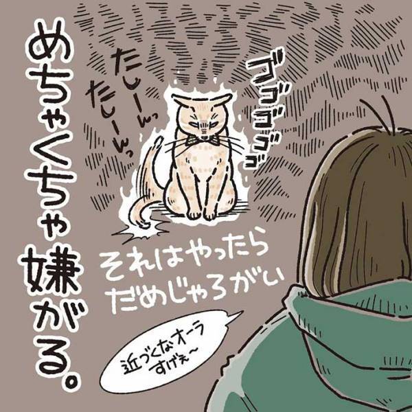 全身触られても怒らない猫　しかし、唯一許せないことがあって？