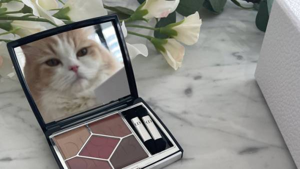 「うちの猫がめちゃくちゃキメ顔試してた」　メイク道具前の光景にクスッ