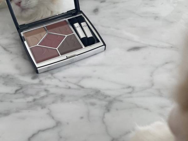 「うちの猫がめちゃくちゃキメ顔試してた」　メイク道具前の光景にクスッ