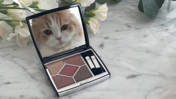 「うちの猫がめちゃくちゃキメ顔試してた」　メイク道具前の光景にクスッ