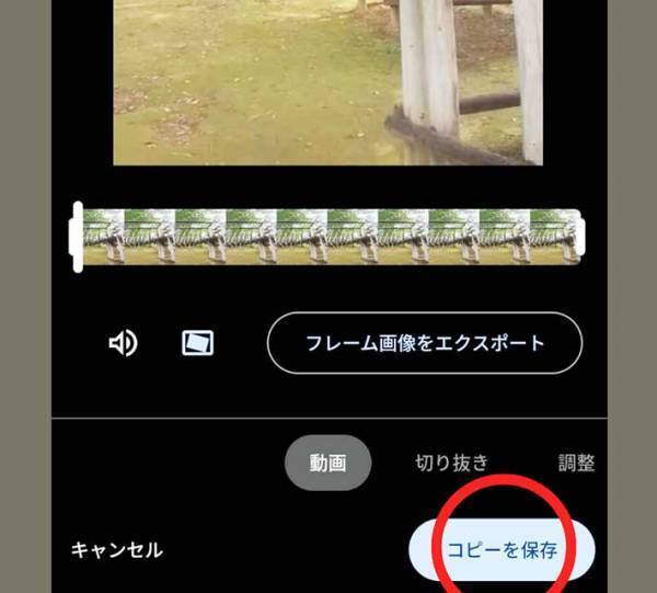 撮った後の動画を手ブレ補正！　Googleフォトの機能がすごすぎる