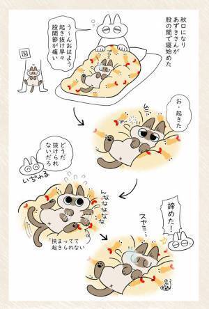 「スヤ…」寝ている猫に『ちょっとした意地悪』をしてみたら？