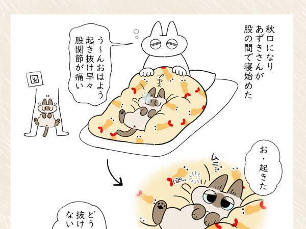 「スヤ…」寝ている猫に『ちょっとした意地悪』をしてみたら？