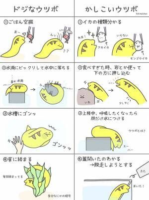 見た目が怖いだけに意外 ファンになりそう ウツボのイラストに反響 22年9月3日 ウーマンエキサイト 1 2