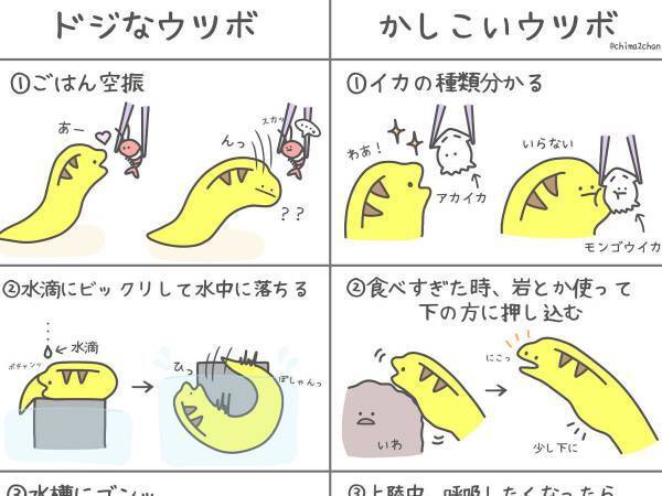 「見た目が怖いだけに意外！」「ファンになりそう」　ウツボのイラストに反響