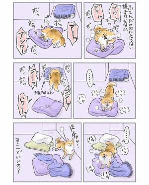 犬用ベッドを毎日整える飼い主　犬の行動に「あるあるすぎて笑った」