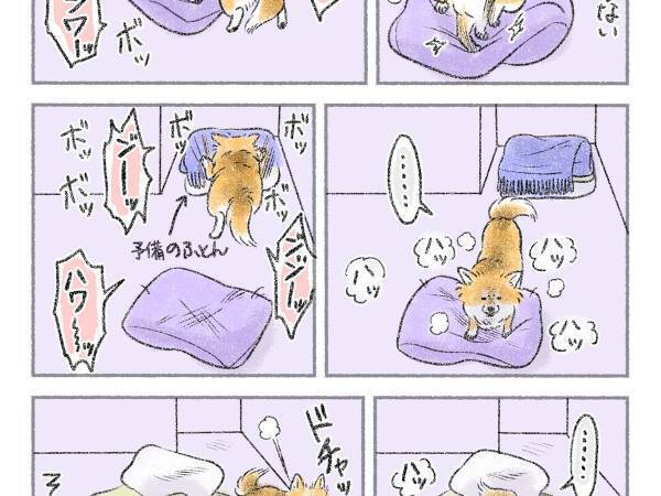 犬用ベッドを毎日整える飼い主　犬の行動に「あるあるすぎて笑った」