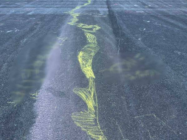 『こどもの国』で見つけた落書きに１０万『いいね』　黄色の何かを辿っていくと？