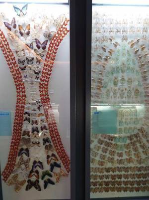 「笑った！」「めっちゃ欲しい」　博物館で買ったTシャツ、プリントミスかと思ったら？