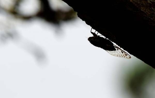 時にはゆっくりと歩みを緩めて、これまで見えていなかったことに目を向けてみる