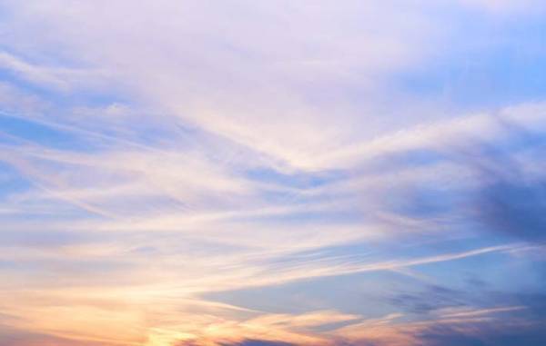 時にはゆっくりと歩みを緩めて、これまで見えていなかったことに目を向けてみる