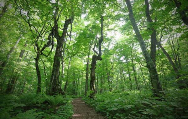 時にはゆっくりと歩みを緩めて、これまで見えていなかったことに目を向けてみる