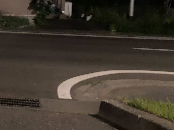 「特撮ドラマのワンシーンみたい！」　巨大カマキリ出現情報っぽくなった写真に反響