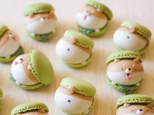 柴犬とマカロンが融合　誕生したものに「食べられない！」「ああぁああ！」