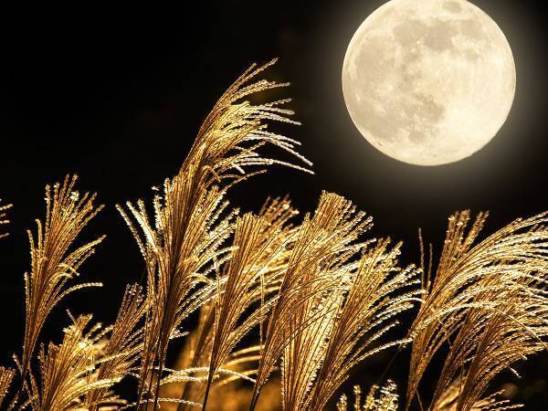 え、今年も！？　２０２２年の『中秋の名月』も特別な一夜に…