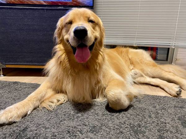 奇跡の１枚に腹筋崩壊！　かわいい表情を撮影したかっただけなのに…