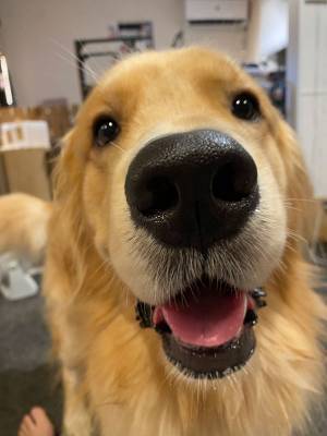 奇跡の１枚に腹筋崩壊！　かわいい表情を撮影したかっただけなのに…