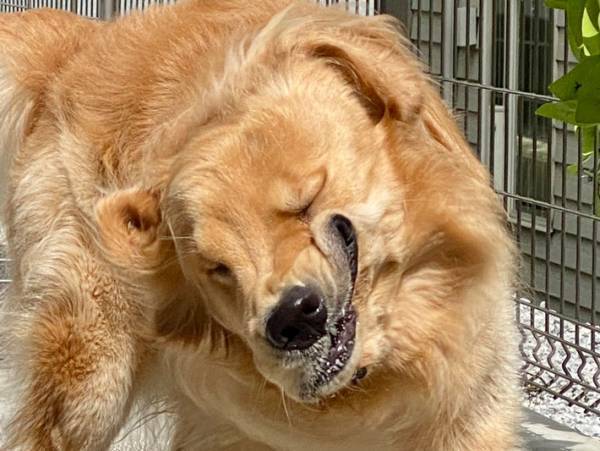 奇跡の１枚に腹筋崩壊！　かわいい表情を撮影したかっただけなのに…