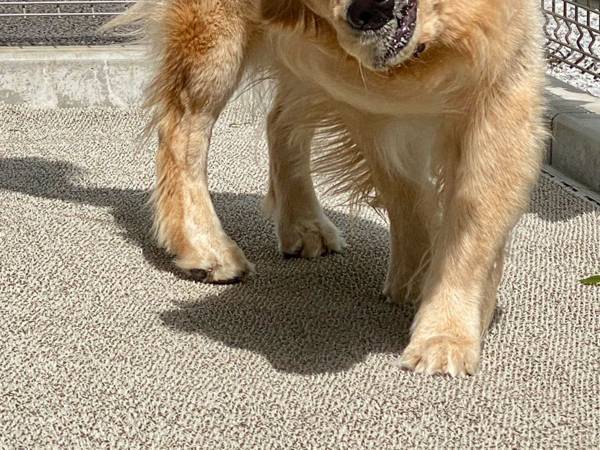 奇跡の１枚に腹筋崩壊！　かわいい表情を撮影したかっただけなのに…