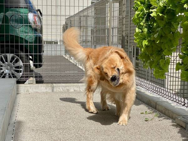 奇跡の１枚に腹筋崩壊！　かわいい表情を撮影したかっただけなのに…