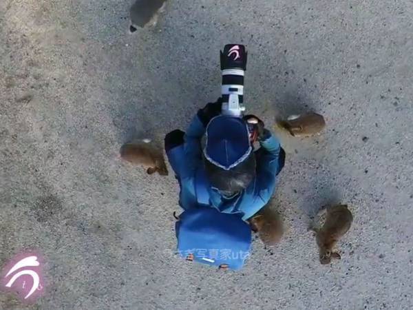 取り囲まれた！　１分１６秒の動画に「いいなぁ～！」「自分も取り囲まれたい…」