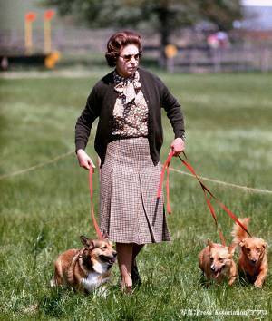 無類の愛犬家だった、故エリザベス女王　コーギーたちの『新しい家族』に「よかった！」「お幸せに」