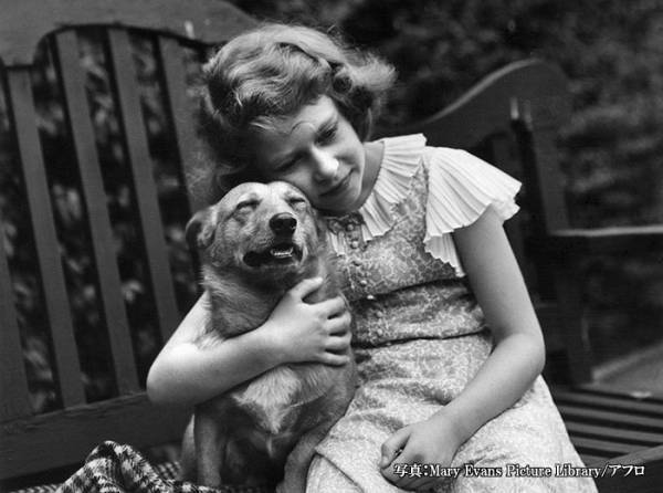 無類の愛犬家だった、故エリザベス女王　コーギーたちの『新しい家族』に「よかった！」「お幸せに」