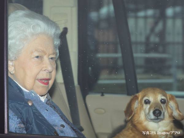 無類の愛犬家だった、故エリザベス女王　コーギーたちの『新しい家族』に「よかった！」「お幸せに」