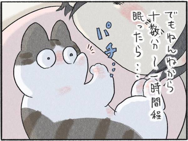 飼い主に抱きかかえられて眠る猫　しかし、しばらくすると？　「可愛すぎる」「これは天使」