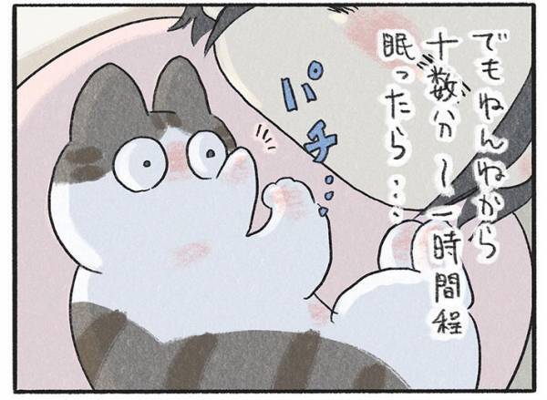 飼い主に抱きかかえられて眠る猫　しかし、しばらくすると？　「可愛すぎる」「これは天使」