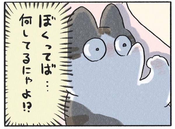 飼い主に抱きかかえられて眠る猫　しかし、しばらくすると？　「可愛すぎる」「これは天使」