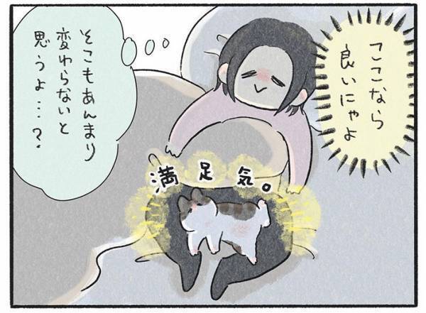 飼い主に抱きかかえられて眠る猫　しかし、しばらくすると？　「可愛すぎる」「これは天使」