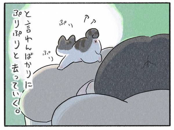 飼い主に抱きかかえられて眠る猫　しかし、しばらくすると？　「可愛すぎる」「これは天使」