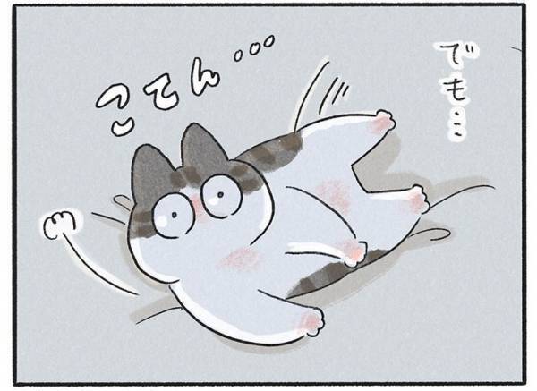 飼い主に抱きかかえられて眠る猫　しかし、しばらくすると？　「可愛すぎる」「これは天使」