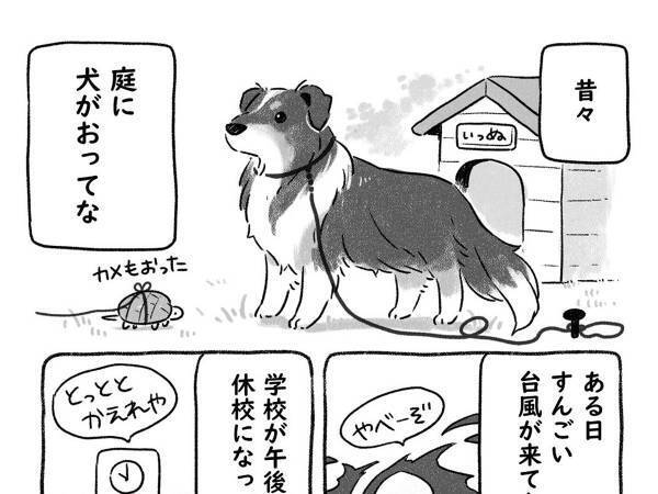 強い台風の中、犬を外に出していた家族　目にした光景に「ゾッとする」「広まってほしい」