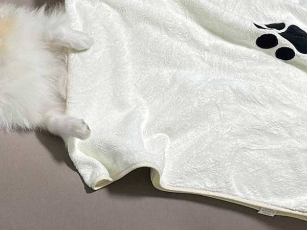 「人間よりも先に…」　人をダメにするクッションを購入したところ？