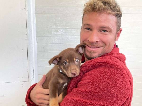 「両方連れて帰りたい」　５匹の保護犬の写真に人々がざわめいたワケは？