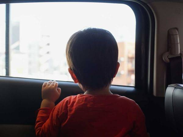 JAFが注意呼びかけ　車の窓に挟まれた野菜が…「怖い」「ゾッとする」