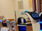 ファミレスで目撃された『ロボットのケンカ』　写真に「めっちゃ笑った」「遭遇したい」