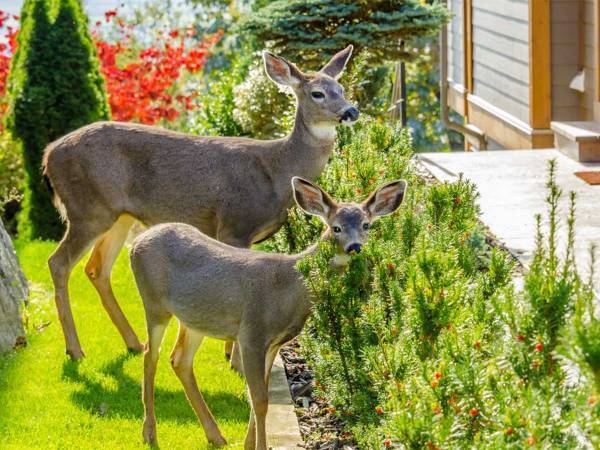 友達から『白雪姫』と呼ばれる女性　理由に納得！　「ここに引っ越したい！」