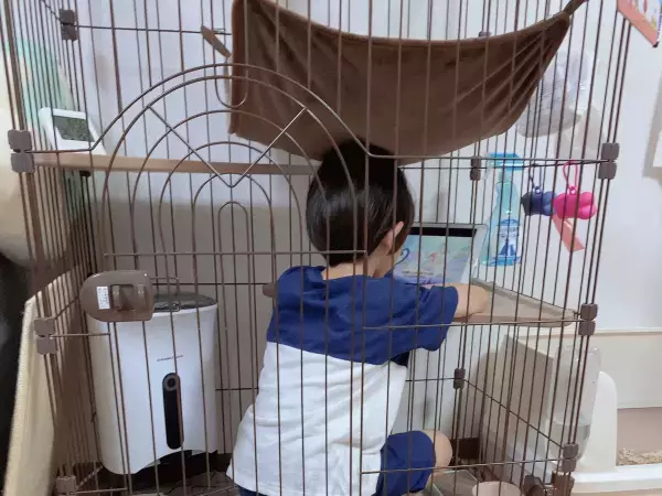 「とうとう猫が人を飼う時代が来たか…」　光景にツッコミ不可避