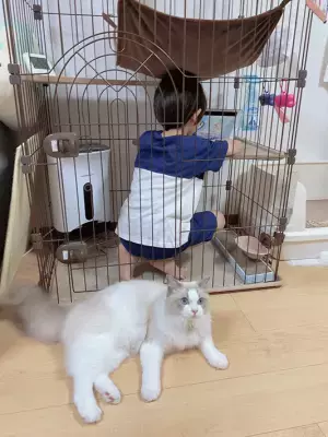 「とうとう猫が人を飼う時代が来たか…」　光景にツッコミ不可避