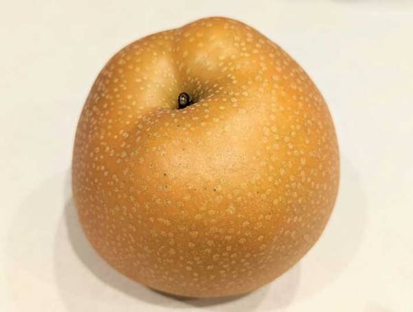 甘い梨かどうか見分ける方法に「逆に考えてた！」「なるほど！」