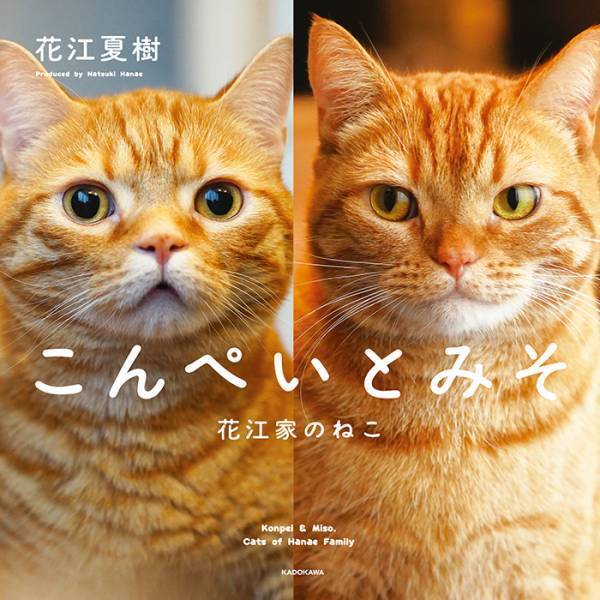 『花江夏樹の愛猫』がついに写真集に！　花江本人が撮影・プロデュースを担当