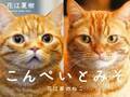 『花江夏樹の愛猫』がついに写真集に！　花江本人が撮影・プロデュースを担当